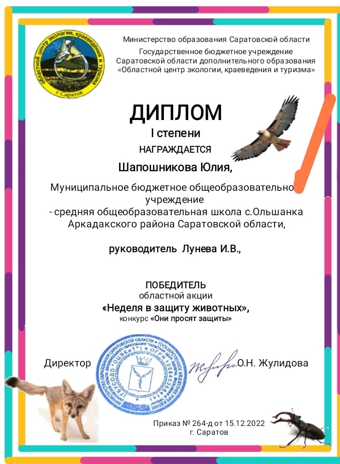 Проекты.